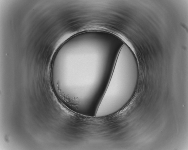 X0000096961053200802080855