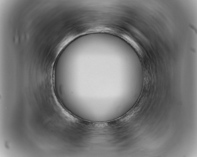 X0000096961055200802080855