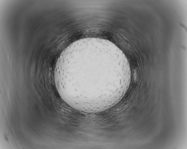 X0000096961059200802080855