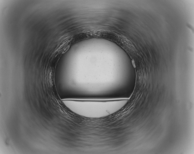 X0000096961060200802080855
