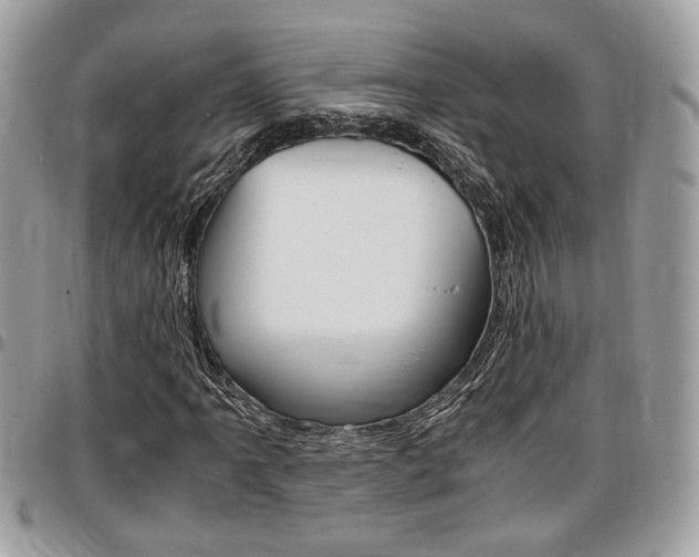 X0000096961061200802080855