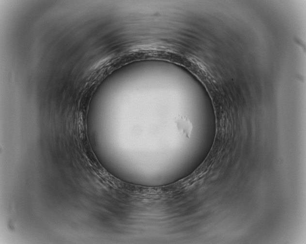 X0000096961062200802080854