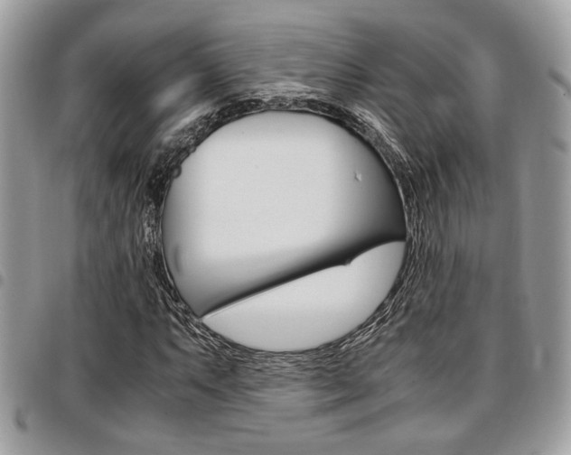 X0000096961063200802080854