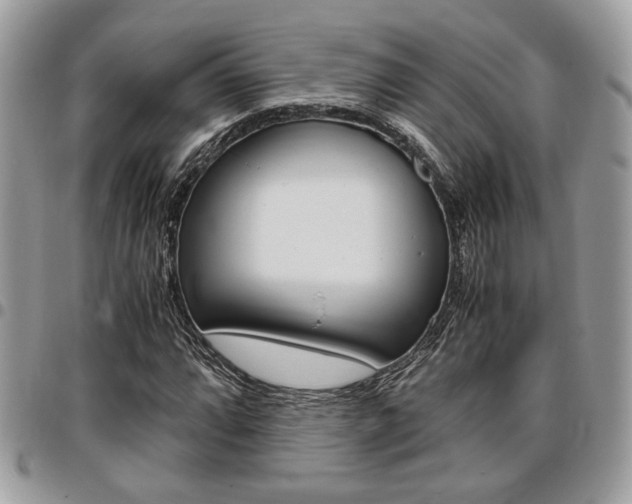 X0000096961064200802080854