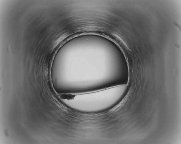X0000096961065200802080854