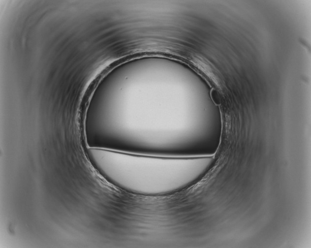 X0000096961068200802080854