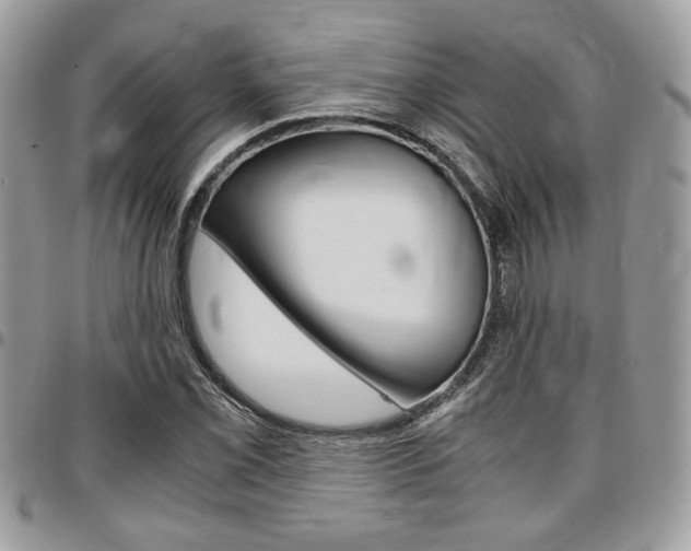 X0000096961069200802080854
