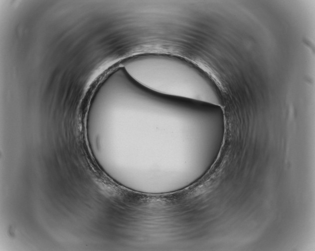 X0000096961070200802080854