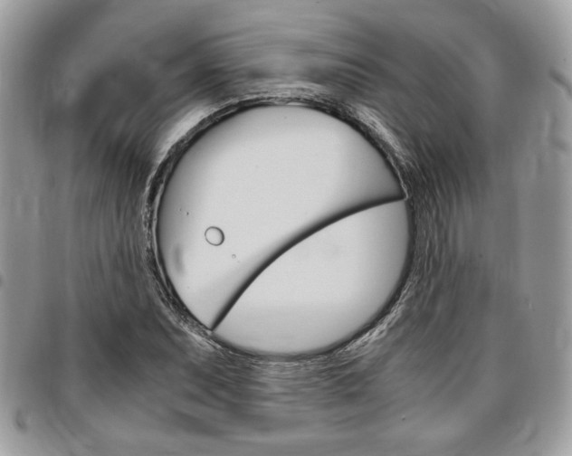 X0000096961071200802080854