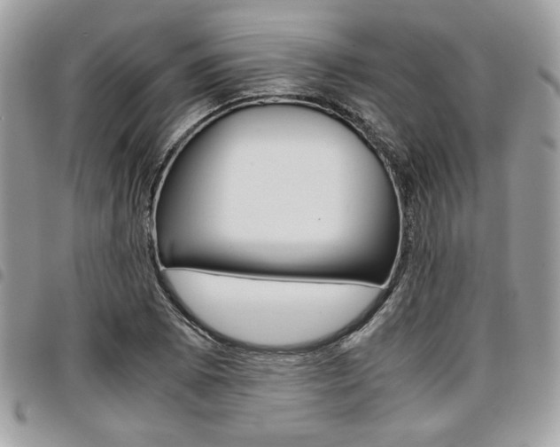 X0000096961073200802080854