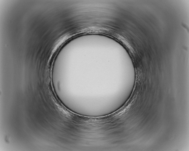 X0000096961075200802080854