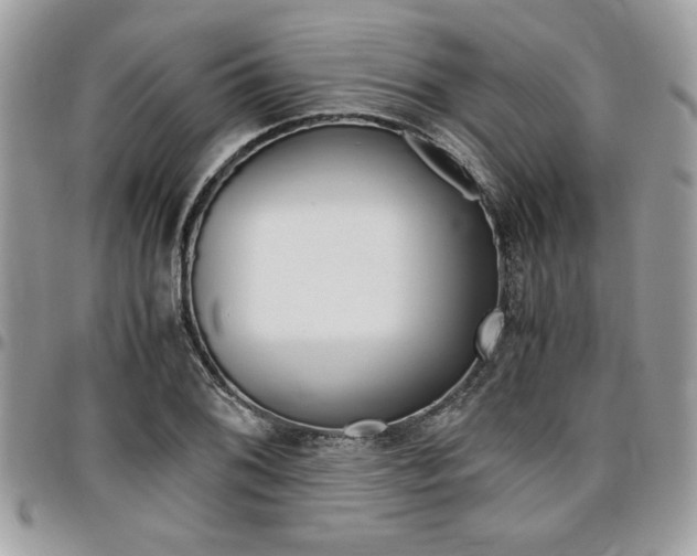 X0000096961076200802080854