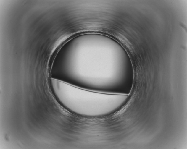 X0000096961077200802080854