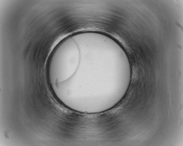 X0000096961078200802080854