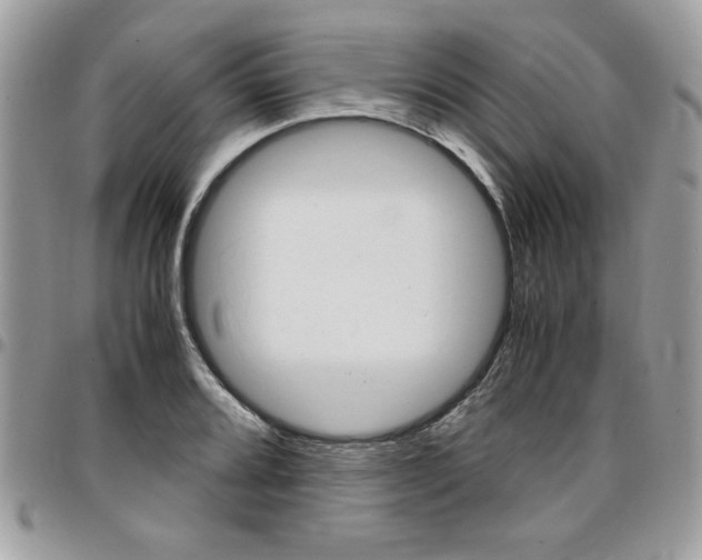 X0000096961080200802080854