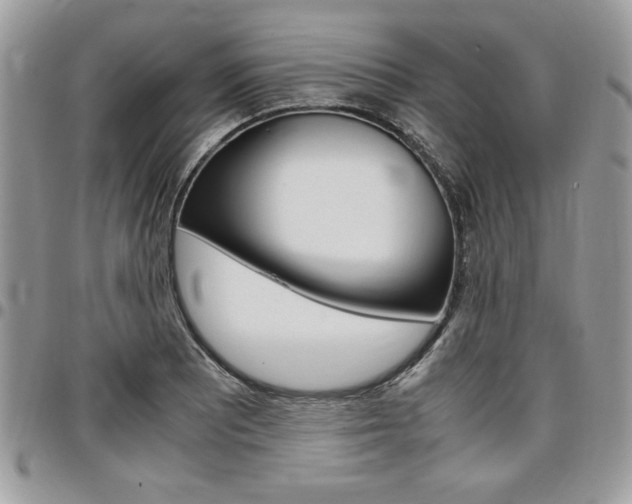 X0000096961081200802080854