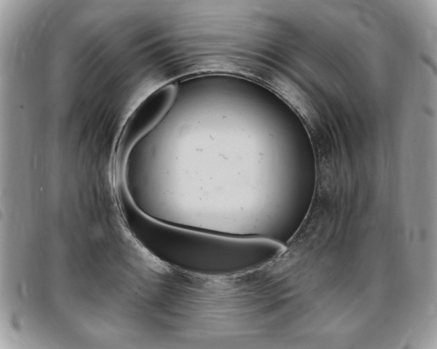 X0000096961084200802080854