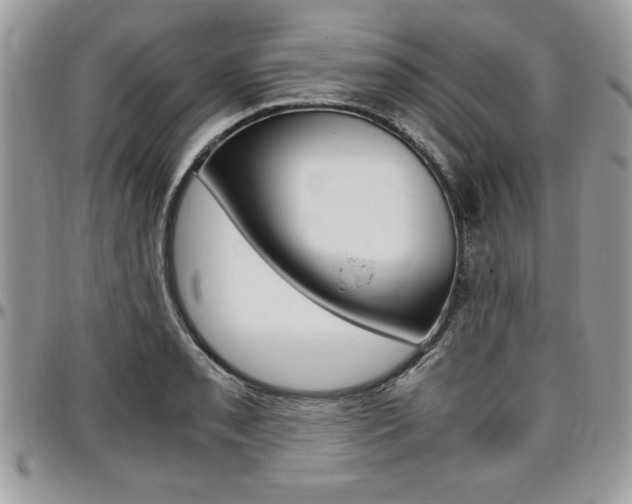 X0000096961085200802080854