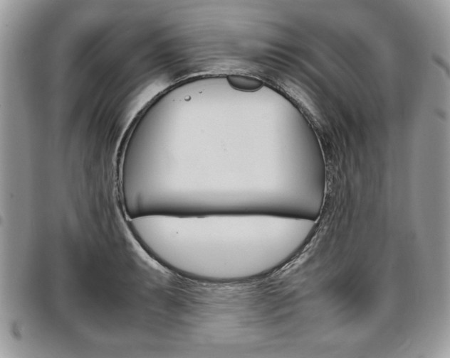 X0000096961087200802080854