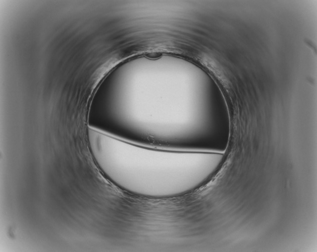 X0000096961089200802080854