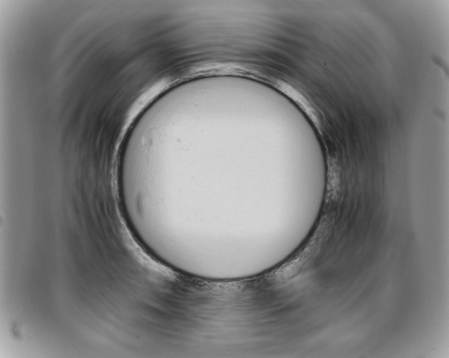 X0000096961090200802080854