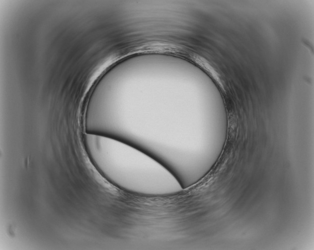 X0000096961091200802080854