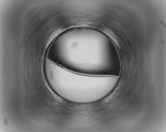 X0000096961093200802080854