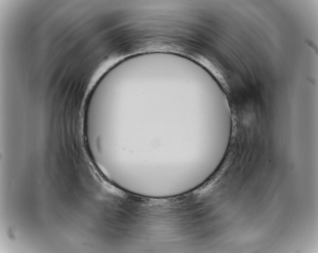 X0000096961094200802080854
