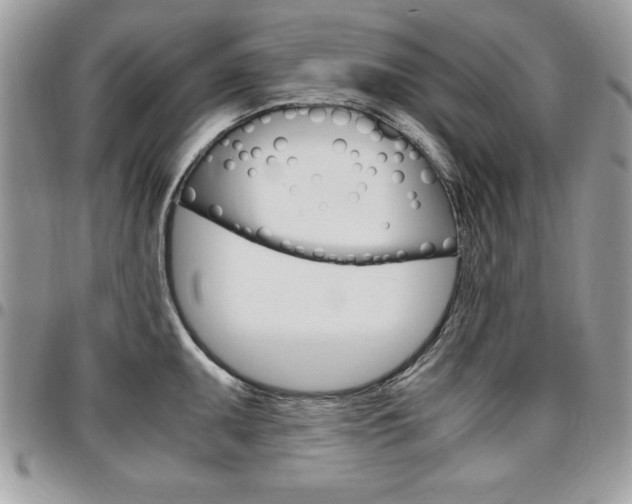 X0000096961095200802080854