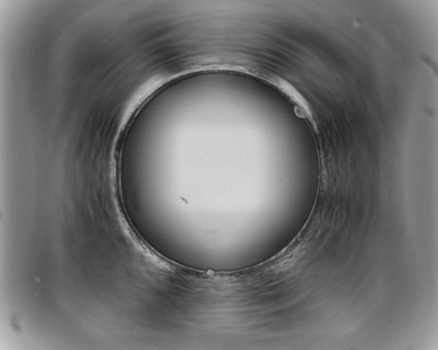 X0000096961096200802080854