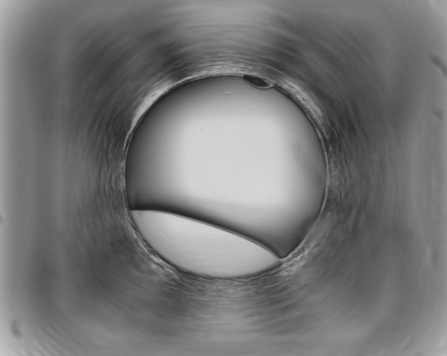 X0000096961097200802080854