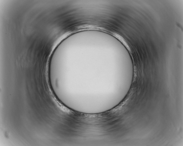X0000096961098200802080854