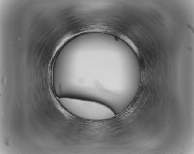 X0000096961099200802080854
