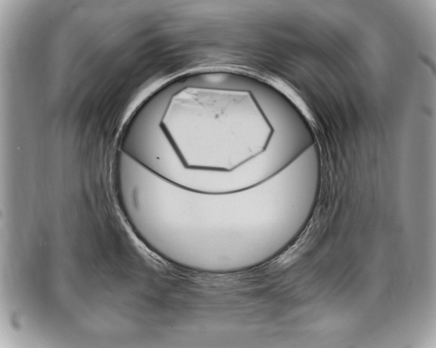 X0000096961101200802080854