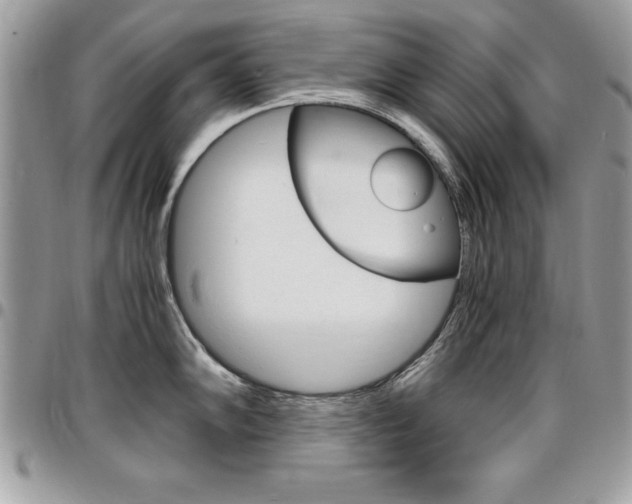 X0000096961102200802080854