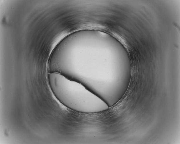 X0000096961103200802080854