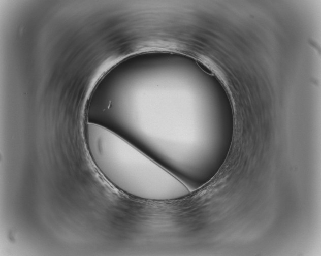 X0000096961104200802080854