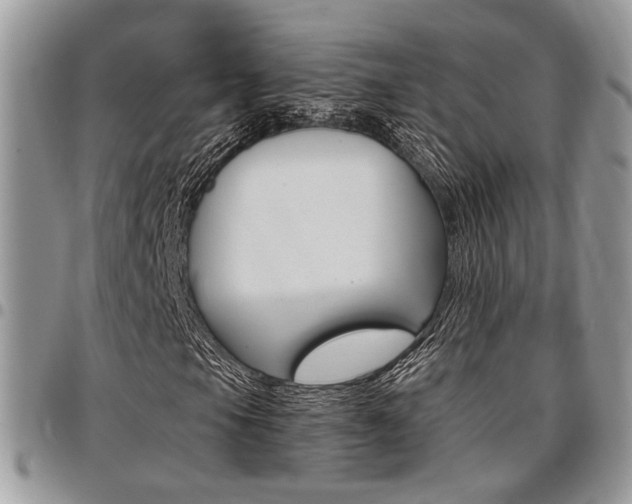 X0000096961105200802080853