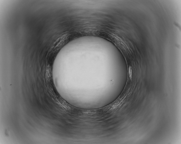 X0000096961107200802080853