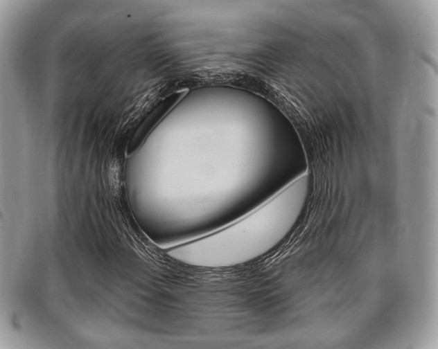 X0000096961108200802080853