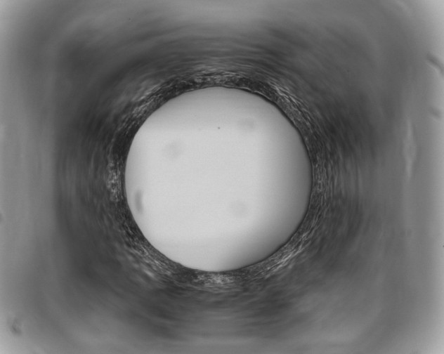 X0000096961109200802080853