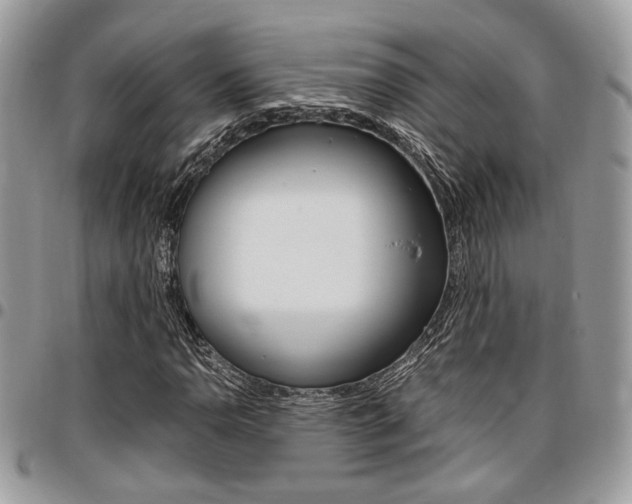 X0000096961110200802080853