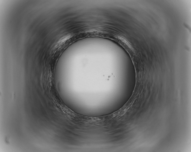 X0000096961111200802080853