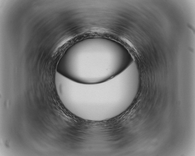 X0000096961112200802080853