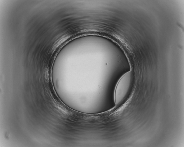 X0000096961113200802080853