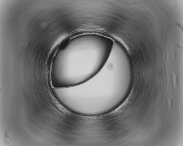 X0000096961114200802080853
