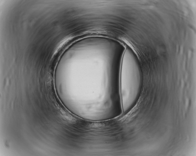 X0000096961115200802080853