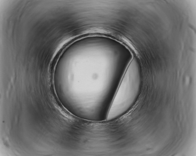 X0000096961116200802080853