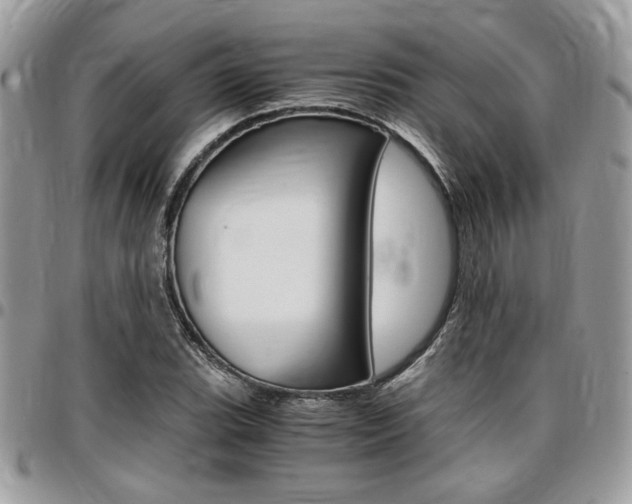 X0000096961119200802080853