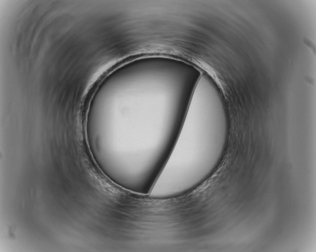 X0000096961120200802080853